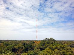 Una imponente estructura roja y blanca se alza en medio de un frondoso bosque verde, enmarcada por un cielo azul nublado.
